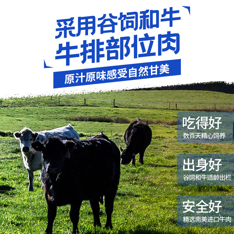小牛凯西和牛牛肉饼汉堡肉饼谷饲牛肉饼半成品牛肉生鲜鲜牛肉馅饼 90g/片 【推荐款】和牛肉饼*10