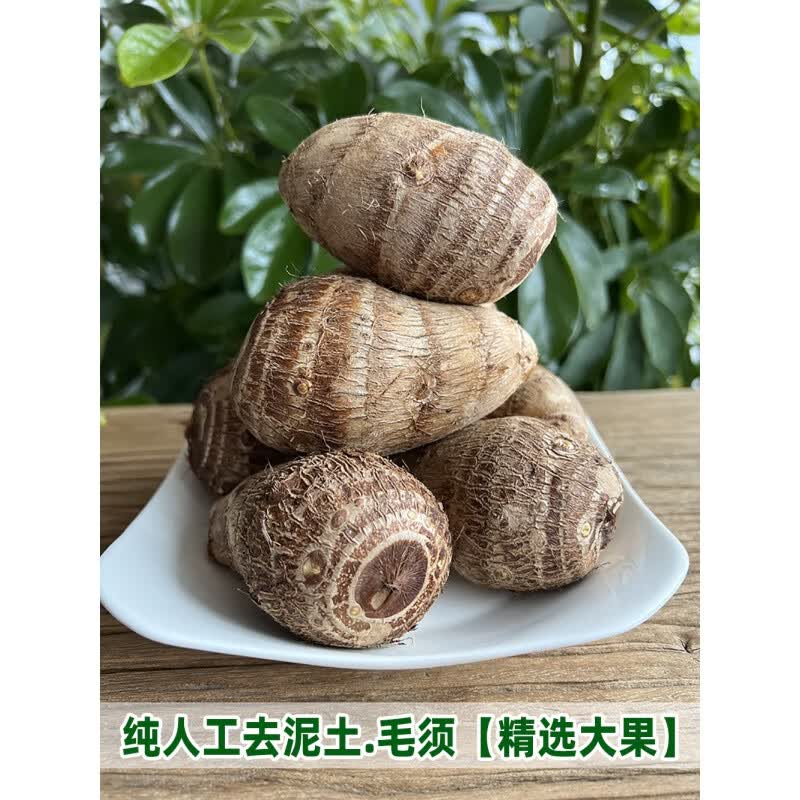 山东芋头新鲜小芋头芋艿沂蒙山牛奶毛芋头香芋子种子农家自种软糯 3斤