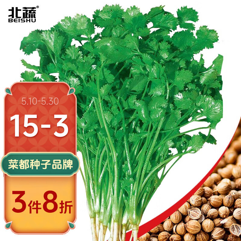 北蔬 四季香菜种子农家蔬菜小叶芫荽籽 农家小叶香菜50g/袋