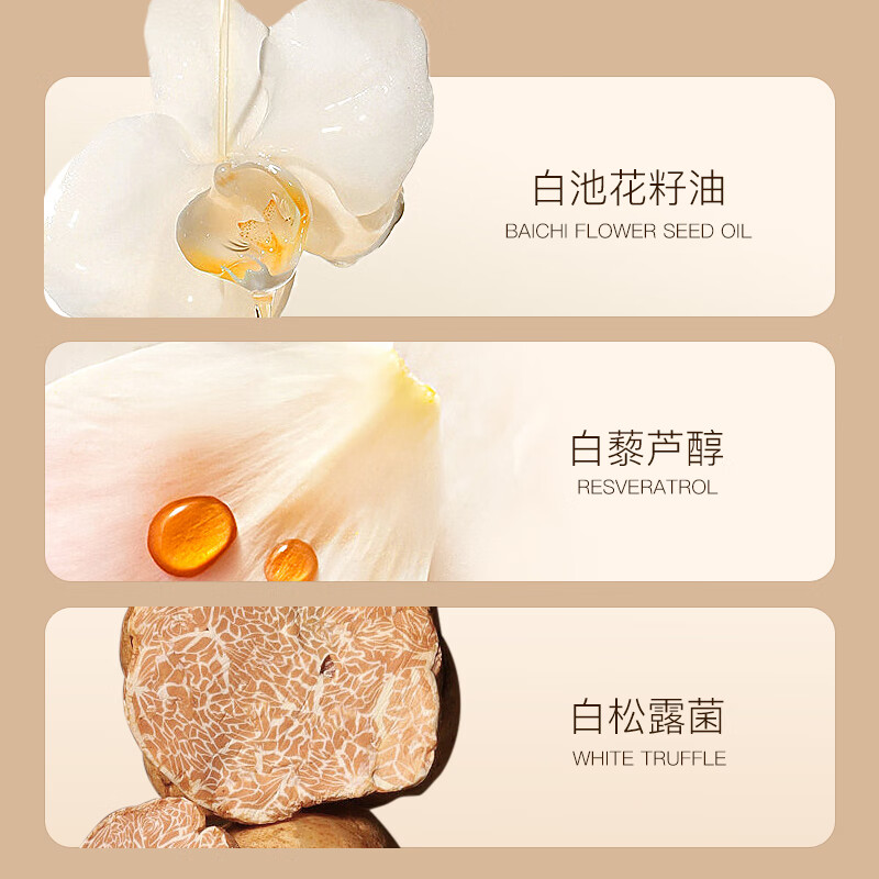 ZEESEA滋色修容棒高光 姿色遮瑕液膏笔盘毛孔隐形遮暇斑点 小圆盘-通用款