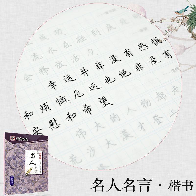字帖练字成年练字帖大学生成人楷书行楷正楷荆霄鹏行书王正良男生女生字体漂亮大气高中钢笔硬笔书法神器墨点楷体手写临摹贴练字本 楷书-名人名言