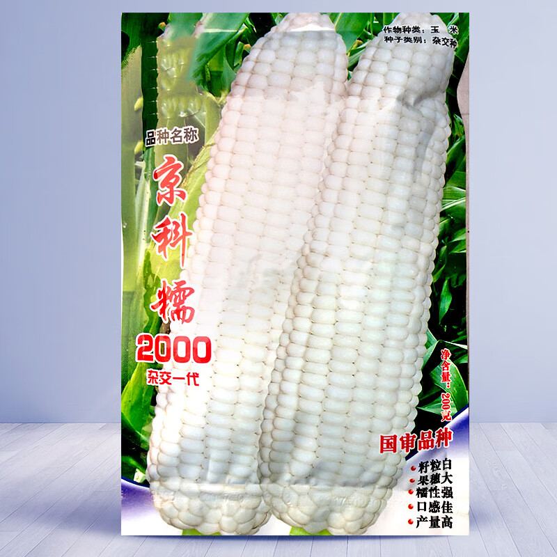大禹国审糯玉米种子白甜糯玉米京科糯928非转超甜粘甜春季 京科糯2000