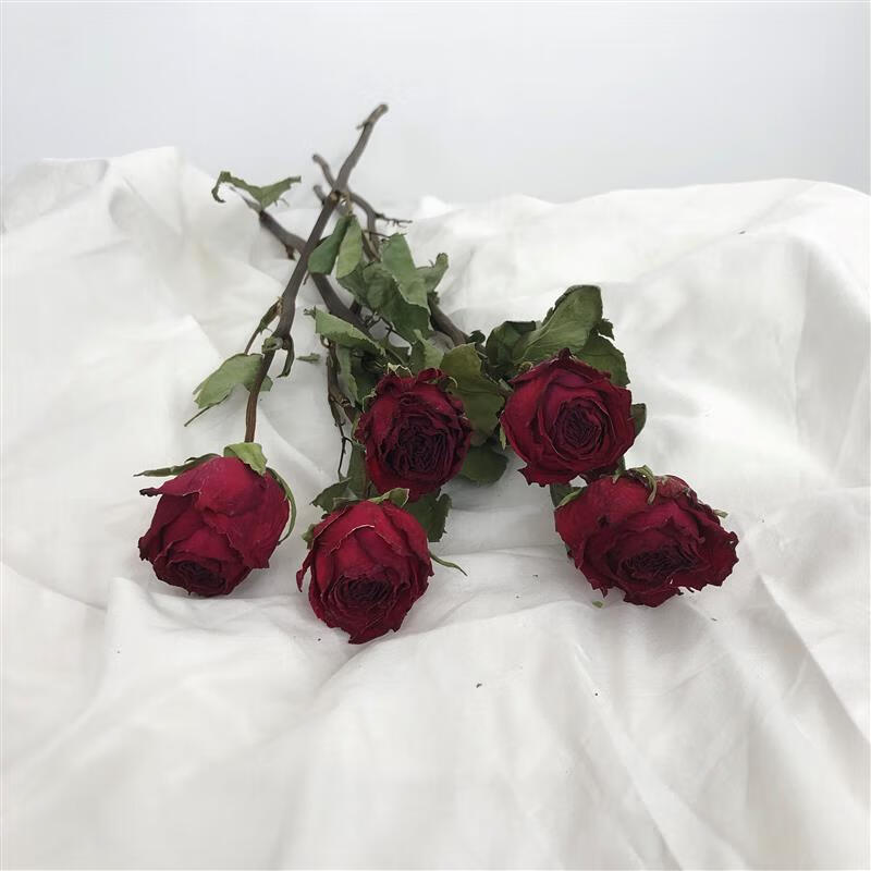 妙普乐干花 九南单头红玫瑰珍爱干花束 真花自然风干客厅装饰家居摆设