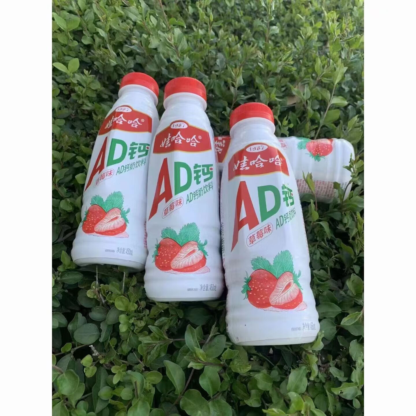 娃哈哈ad钙奶450ml草莓味瓶装饮料儿时经典口味儿童饮料含乳饮品 草莓