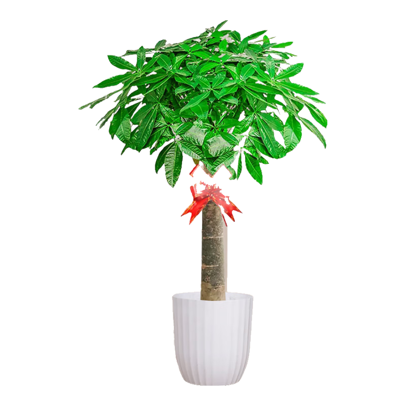 �����з�����������ֲ�������ڲ������в����칫����Ǩ��ҵԴͷֱ��