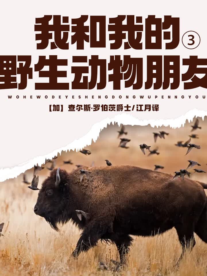 【教育部推荐书目】我和我的野生动物朋友3│精配
