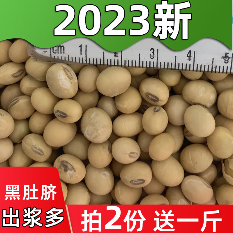 茗仟(mingqian)新粮土黄豆黑肚脐打豆浆专用土老品种农家黑脐王大粒