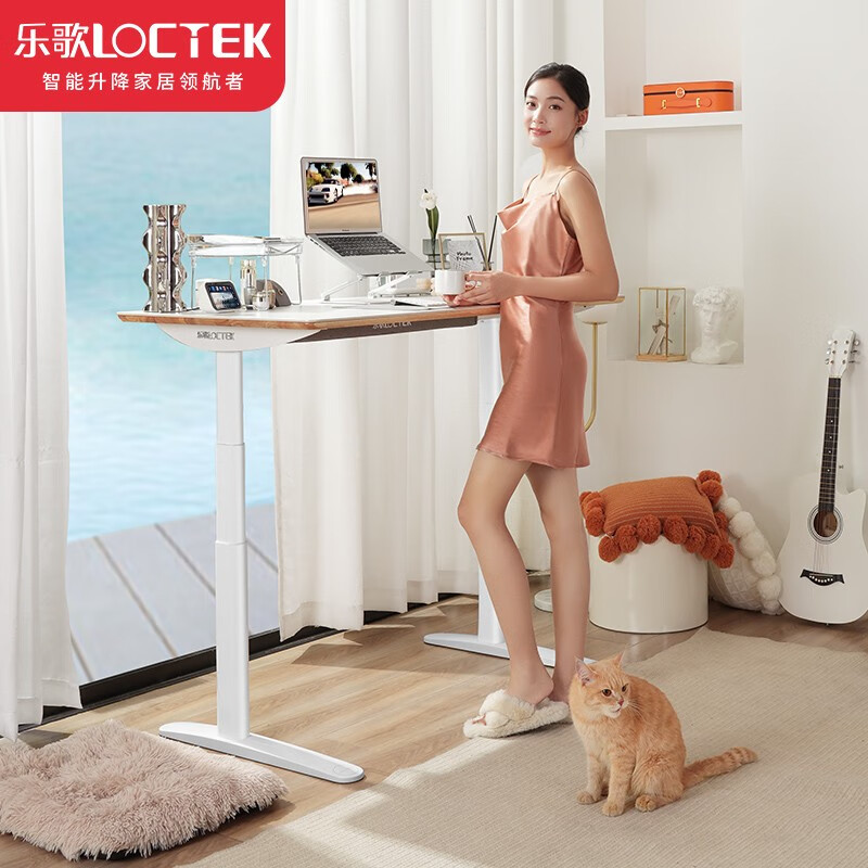 乐歌(loctek) 智能升降桌电动电脑桌学习书桌青少年写字桌岩板台式立