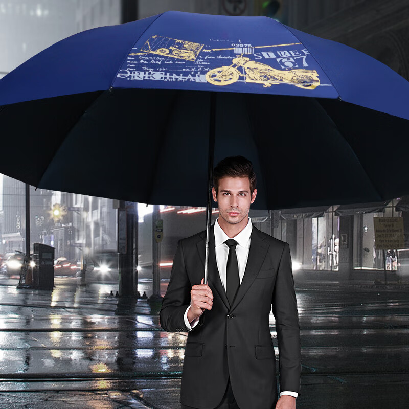 红叶五人超大黑胶雨伞大号防风雨伞加粗加固雨伞男女商务晴雨两用伞 藏青色 10骨 超大伞面伞下130cm 京东折扣/优惠券