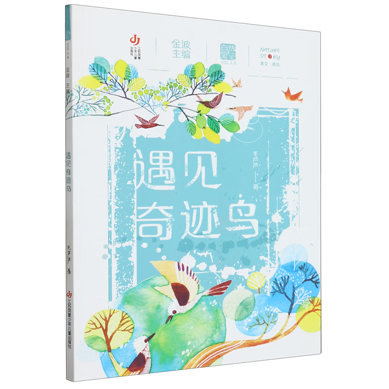 新华书店正版 遇见奇迹鸟 中国儿童文学