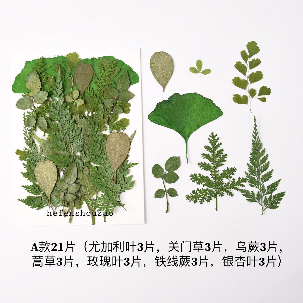 山头林村用树叶做手工画干花植物标本幼儿园材料贴真diy滴胶杯垫相框