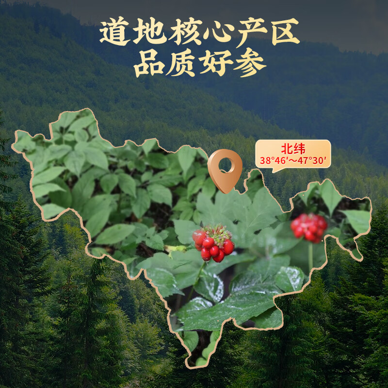 雷允上【教师节礼物】野山参林下参整支人参生晒参高档礼盒送父母礼物 野山参七级2.5~3.5g