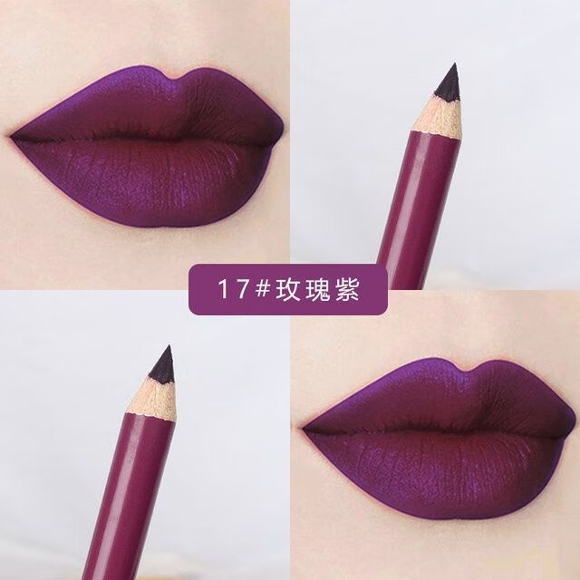 白雪公主唇线笔眼线笔勾线笔28色戴维丝口红笔 17号深紫 1.9g（一支）