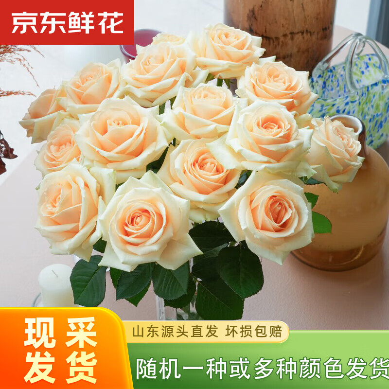 �����ʻ�õ�廨�����ɫ10֦������������Ů�������������ʻ�Դͷֱ��