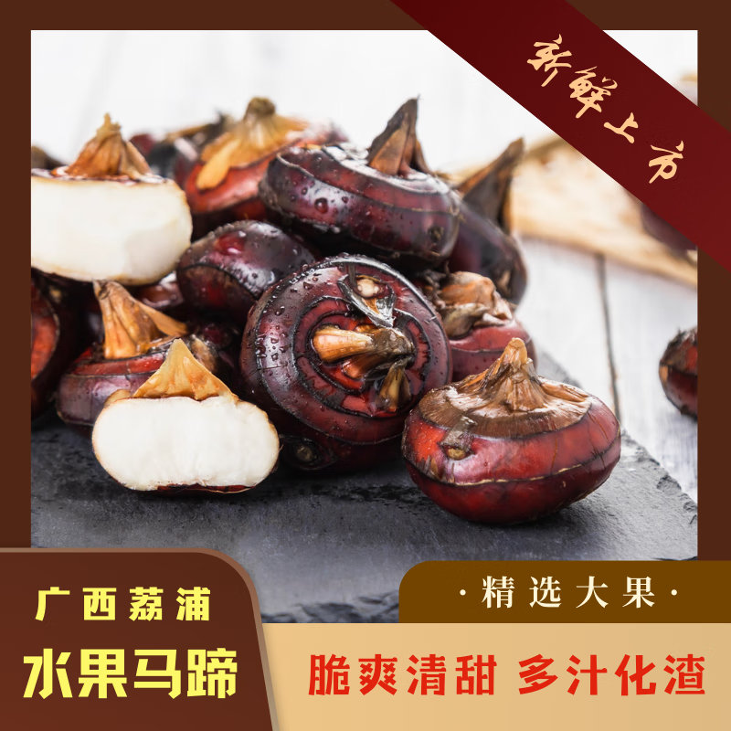 广西桂林荔浦马蹄荸荠地梨脆甜现挖产地直发当季新鲜水果煲汤蔬菜 优质大果 净重5斤(100-115个)