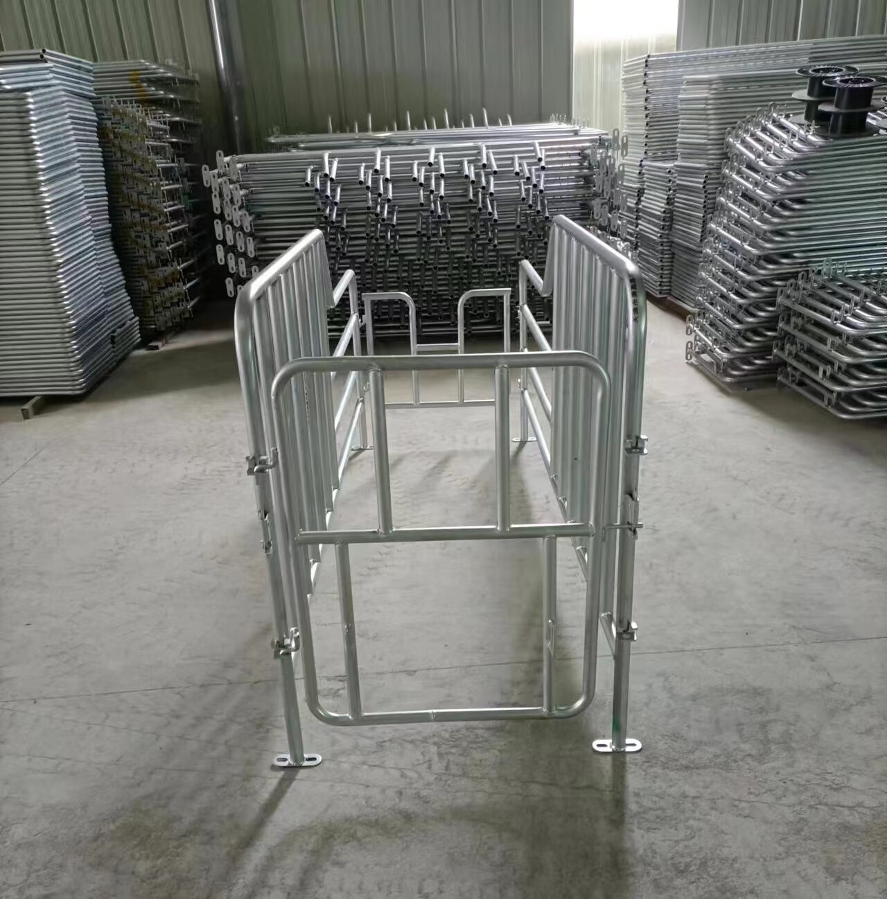 喜普母猪定位栏限位栏猪用产床镀锌管1到100位加厚落地式猪笼养殖设备