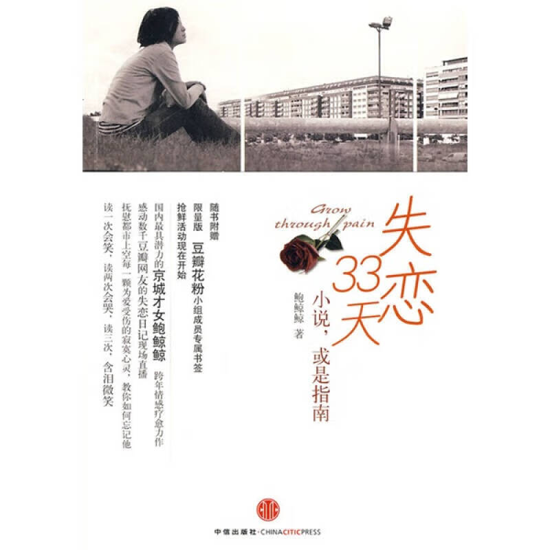 失恋33天 小说或是指南
