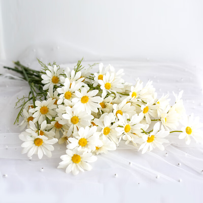 雏菊仿真花客厅摆设餐桌花装饰花束花艺摆件拍照道具 荷兰菊白色5支装