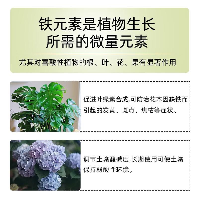 施奇硫酸亚铁花肥料栀子花茶花杜鹃桂花防黄叶盆栽营养土壤调酸水溶肥 500克