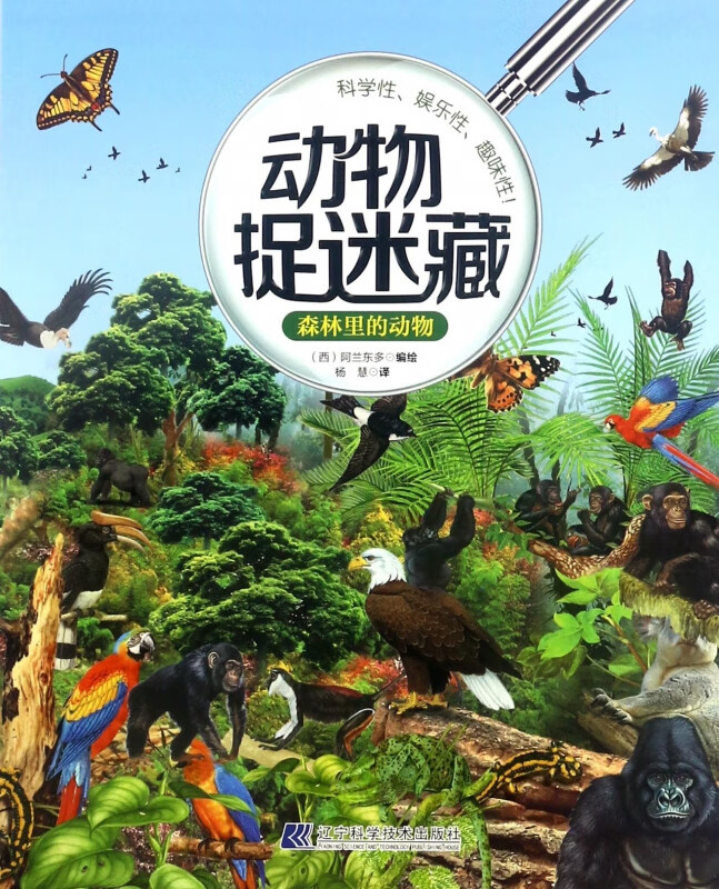 森林里的动物/动物捉迷藏