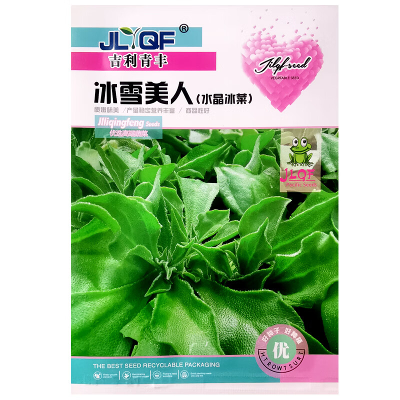吉利青丰冰雪美人冰菜种子【1包a