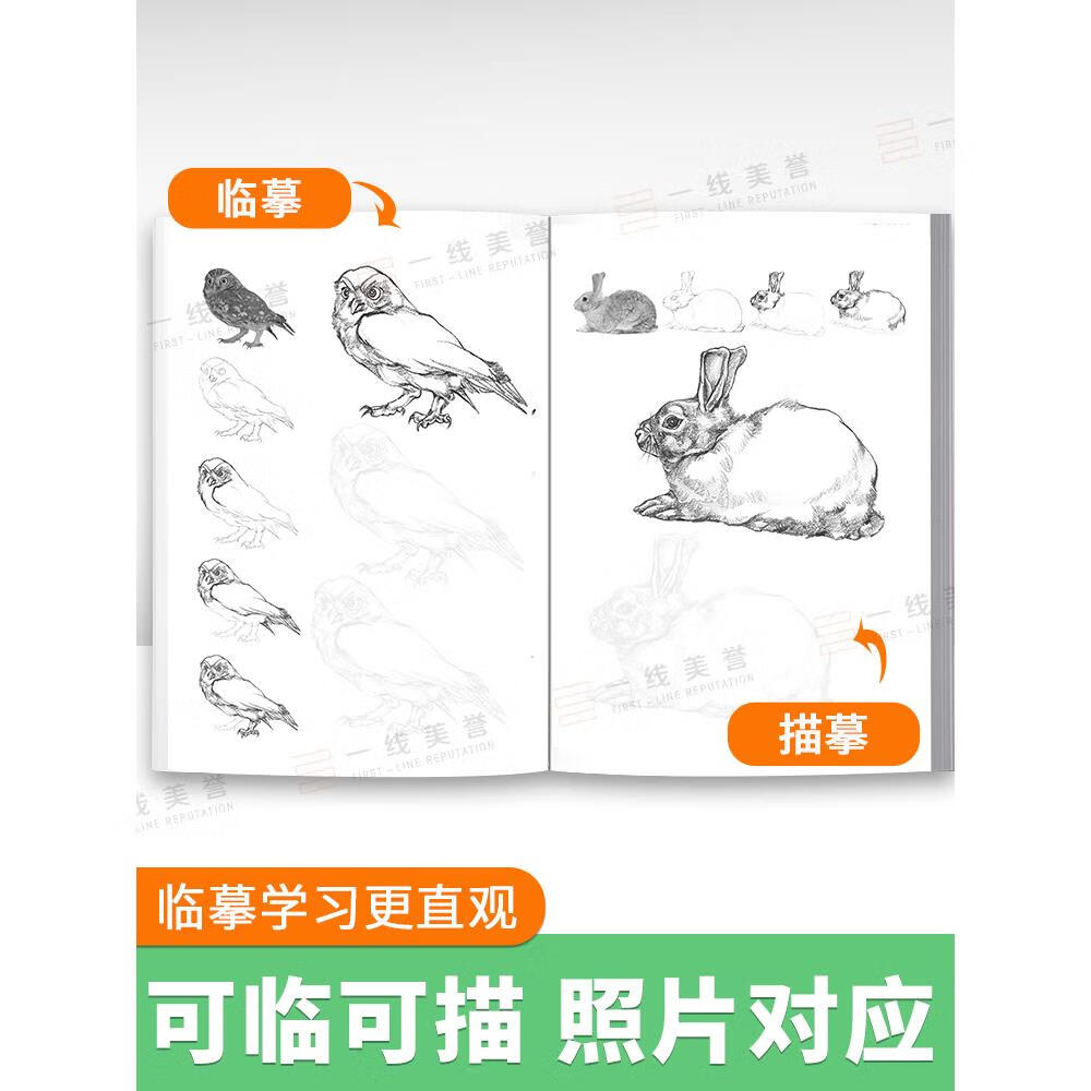 动物速写描摹本 儿童素描画册临摹画本线稿控笔训练画画入门自学零
