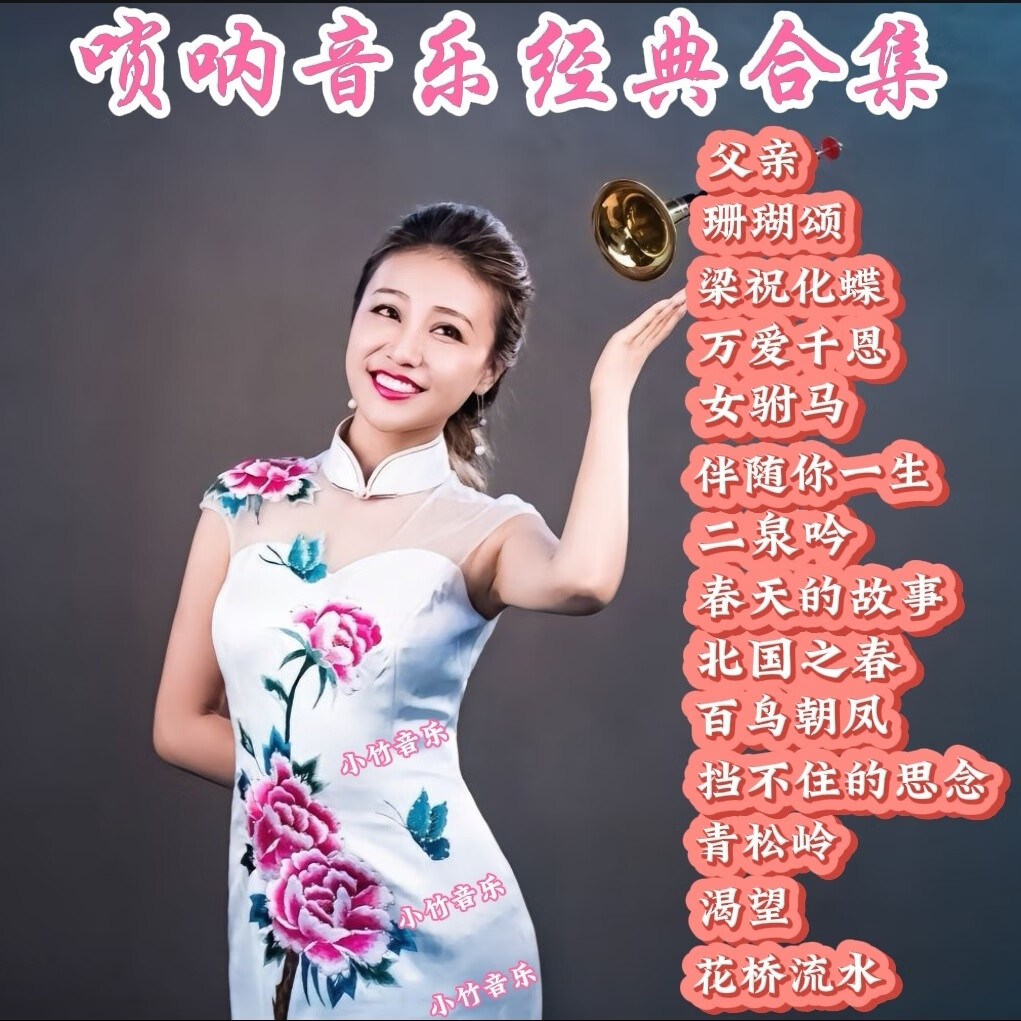 抖音同款张倩渊唢呐车载u盘音乐纯音乐经典老歌高音质重低音mp3 抖音