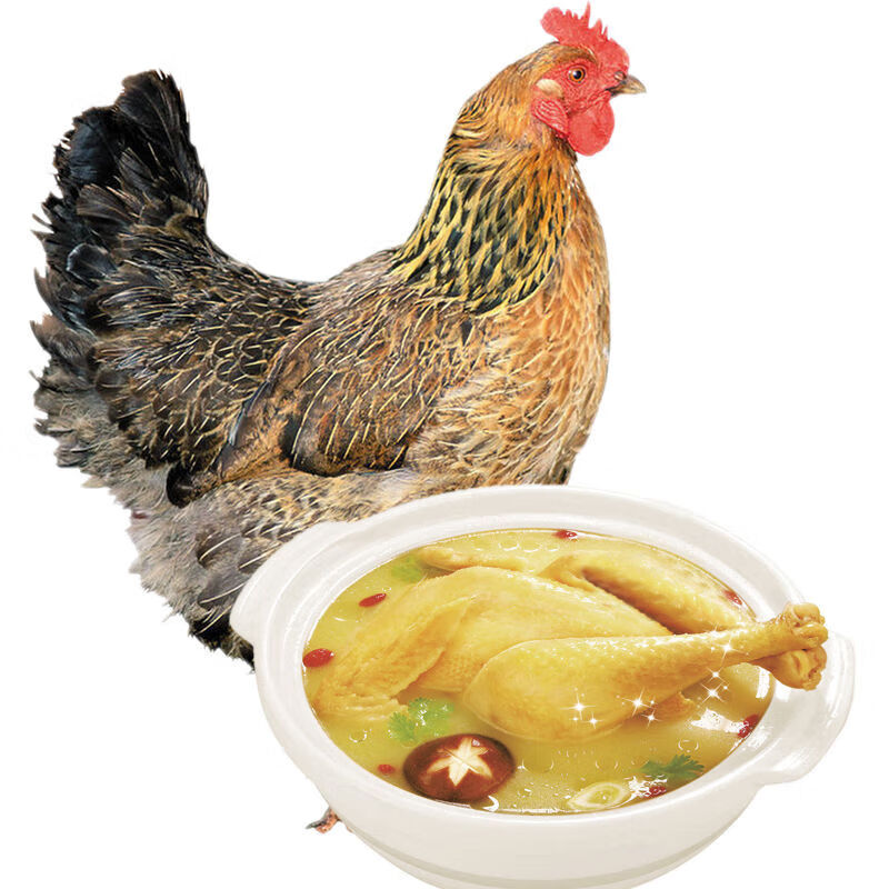 京战 农家散养草鸡土鸡走地鸡 新鲜现杀整只土鸡汤月子餐 3年老母鸡(1只装3斤左右)