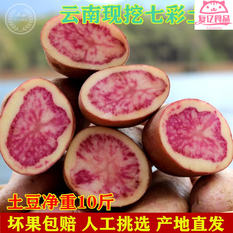 食懷云南七彩土豆麗江紫洋芋凈重10斤新鮮紫土豆紅皮紅心土豆壞的包賠 家庭裝中小果 5000g