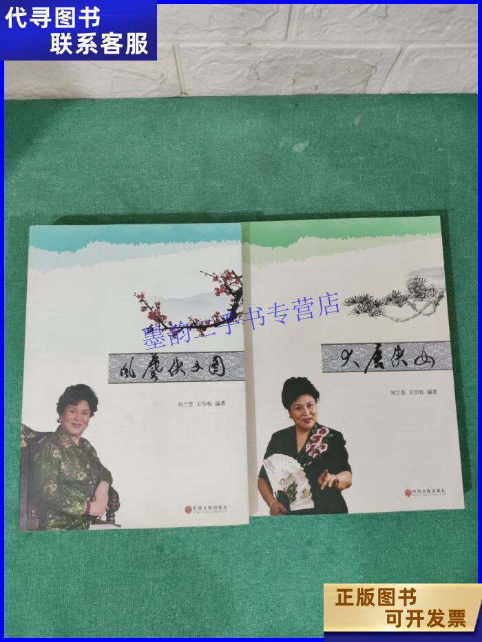 风尘侠义图 大唐侠女【2本合售】 中国文联出版社二手书