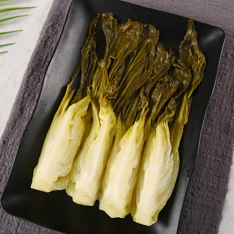 xywlkj温州特产下饭下酒菜新鲜腌制油冬菜清脆爽口小白菜农家咸菜 腌