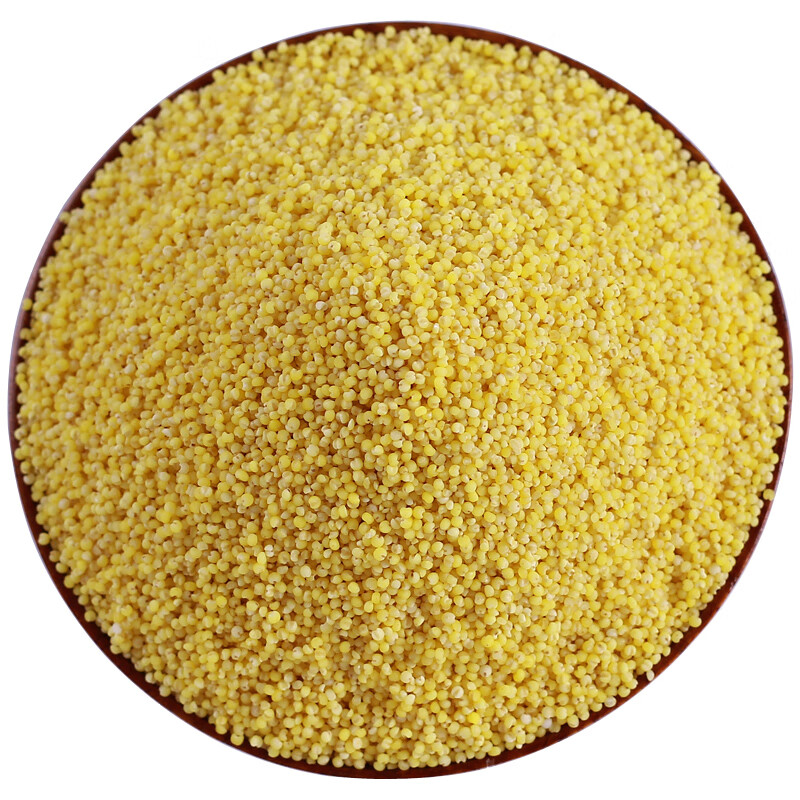 谷耘滇高原黄小米正宗云南高原黄小米米香浓郁3斤黄小米黄小米1500g