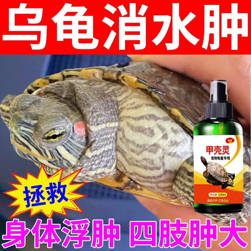 鸾磁乌龟脖子肿大消水肿腿肿四肢浮肿脖子缩不进去乌龟消肿胀常备用品