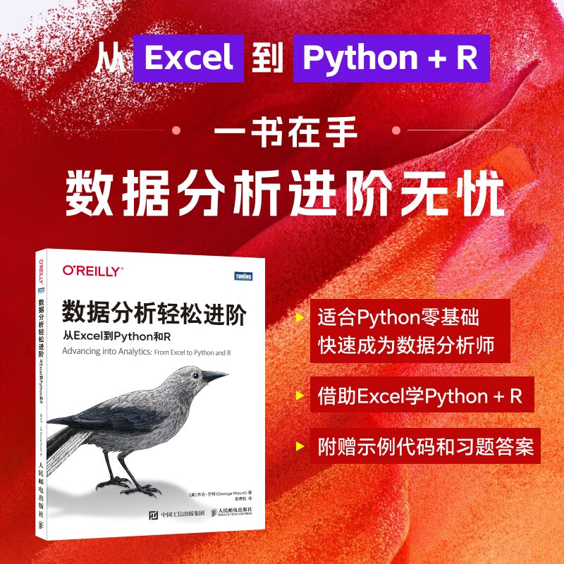 数据分析轻松进阶：从Excel到Python和R（图灵出品）