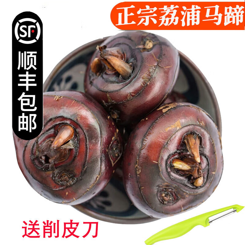 【顺丰】广西桂林马蹄 荔浦荸荠 脆甜无渣 新鲜马蹄蔬菜 5斤 特大果 65个左右