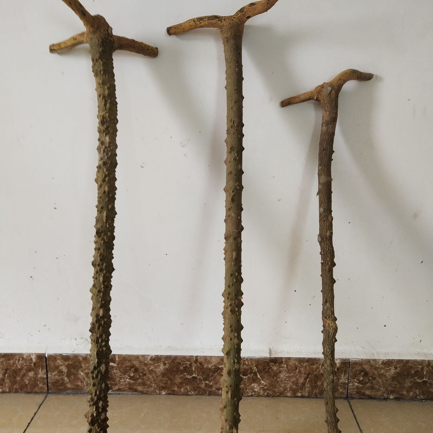 花椒木是老人做拐杖年轻人做玩具木材本店可按照你需要随机发货 带根