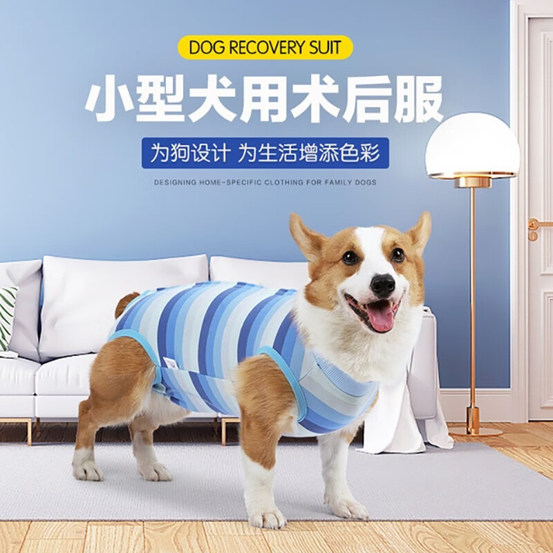 拉维佩特（LOVINGPET）狗狗绝育手术服 小型犬绝育衣服狗狗术后服公狗母狗绝育服防舔 粉色 S 建议3-5斤