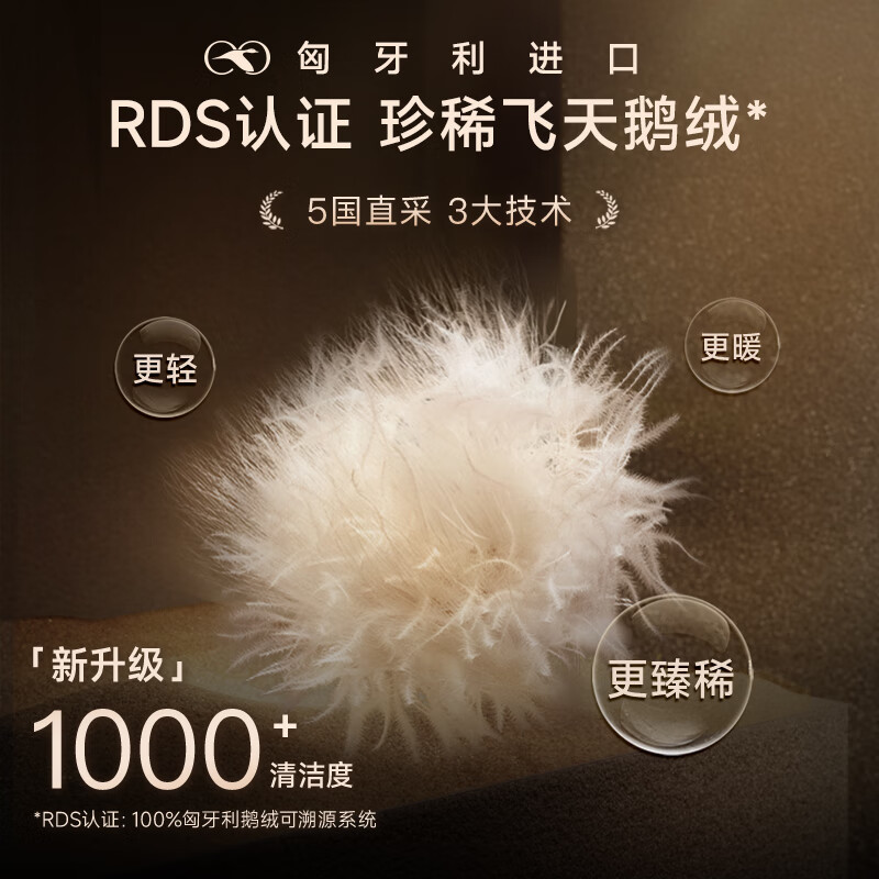 高梵黑金鹅绒服小黑金4.0蓄热2024年新款男士秋冬轻薄短款羽绒服 黑色 XL