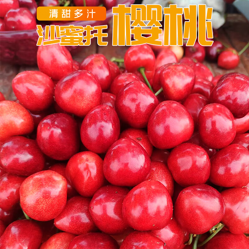 【顺丰/JD】大连沙蜜托樱桃车厘子新鲜现摘脆甜大樱桃新鲜水果 2.8斤(净重)  中果XL级 6-8g
