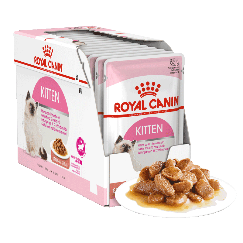 ʼè èʪ èͷKGP ͨ 4-12 Ũ85G*12 115.92Ԫ