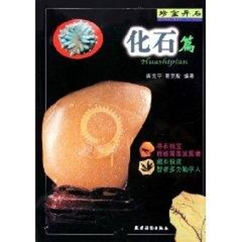 化石篇/珍宝异石