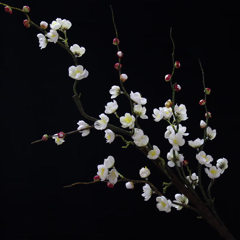 花梅花假花仿真绿植摆件仿真花摆件单支仿真梅花树枝腊梅 白色 梅花