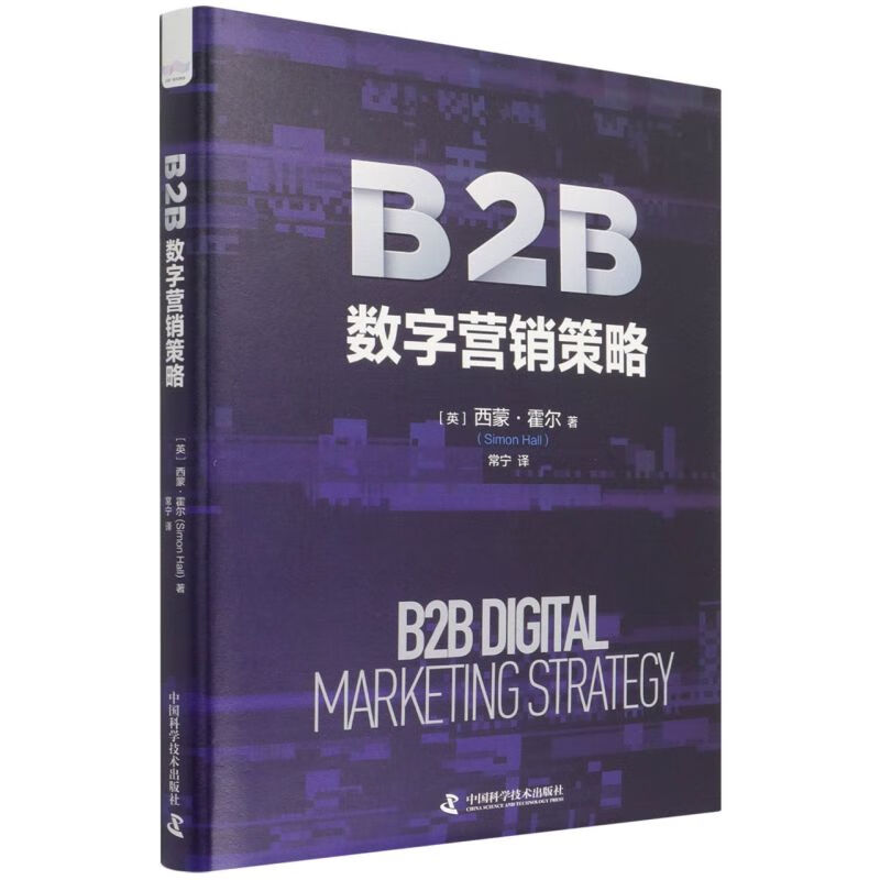 B2B数字营销策略(精)