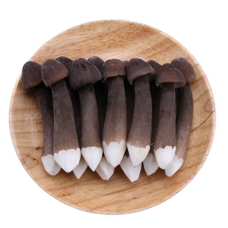 新鲜黑皮鸡枞菌500g云南特产菌菇煲汤火锅食材养生食用菌蘑菇 500克