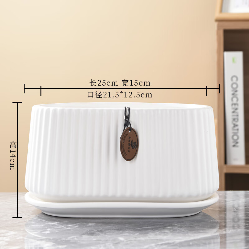 以琛北欧风格花盆陶瓷椭圆形大口径创意室内桌面蝴蝶兰绿萝盆 tx椭圆