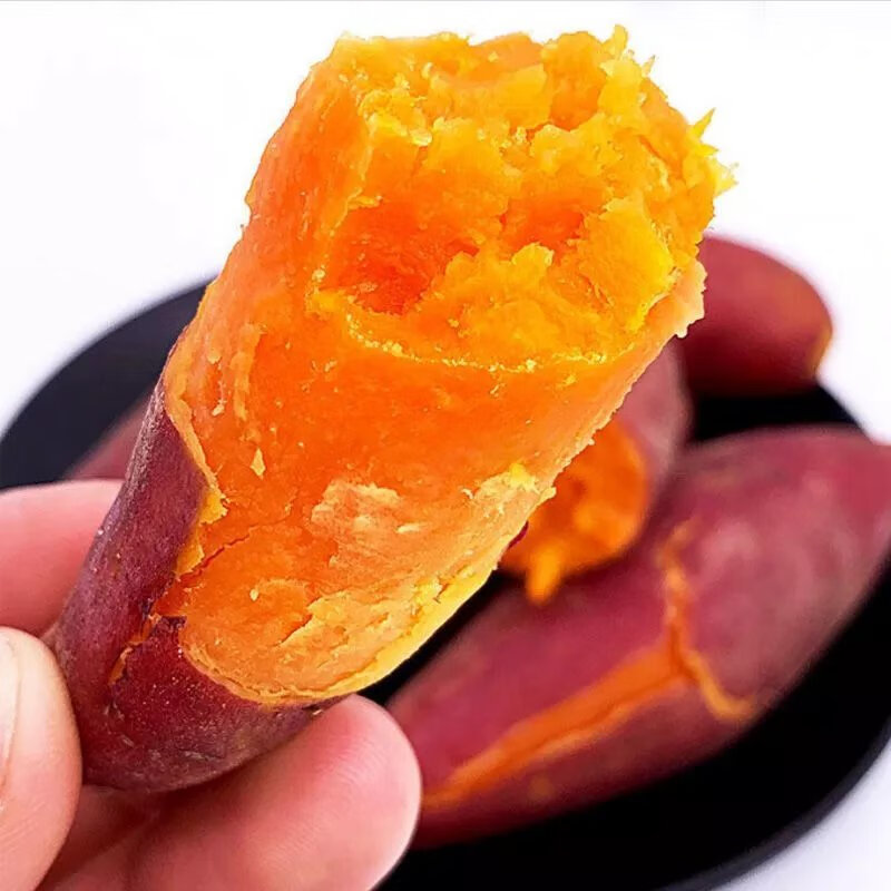 沙地红薯新鲜现挖农家自种地瓜番薯红黄心薯整箱批发 小号果(迷你果)