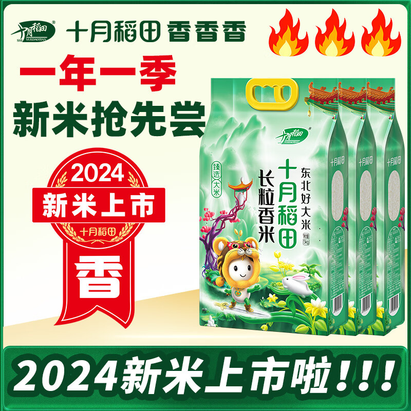 ���ڲ�����ʮ�µ��� ��2024���������С����������5kg  ��������10�� ��������*3��