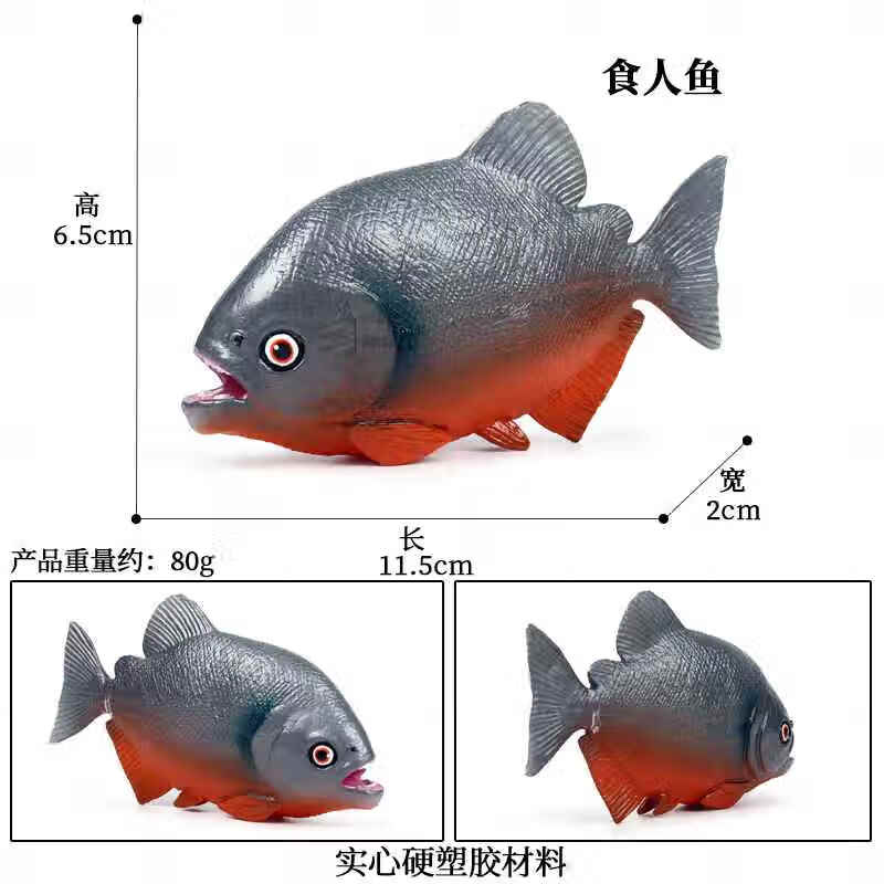 儿童科教仿真实心食人鱼海洋海底生物模型吃人鱼食人鲳水虎鱼玩的 89食人鱼