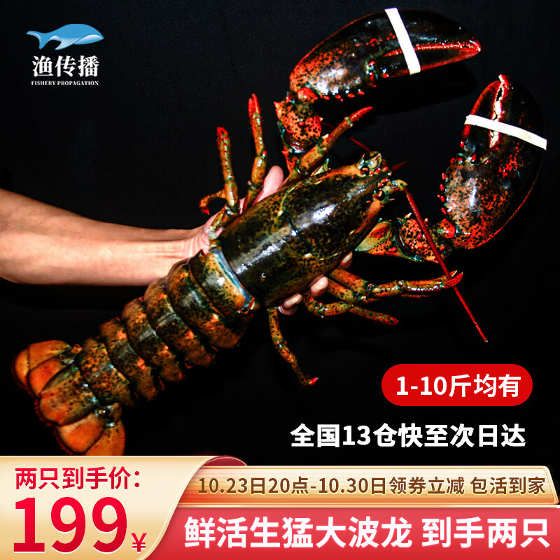 手机查虾类京东历史价格|虾类价格走势图