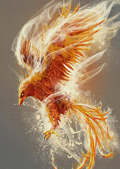 浴火凤凰手绘油画客厅装饰画吉祥神鸟展翅高飞玄关高档挂画 火凤凰